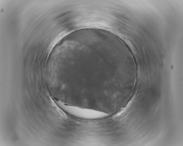 X0000086951529200705071430