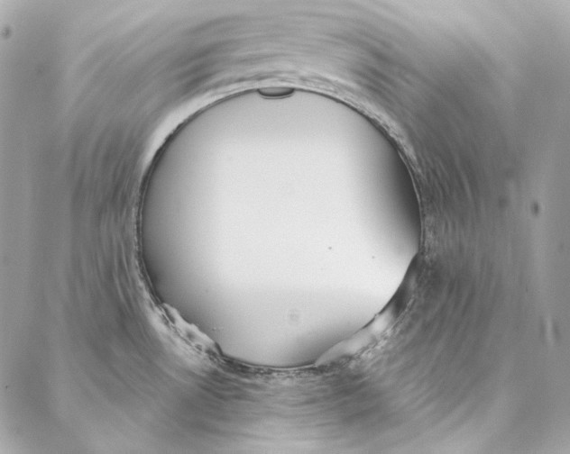 X0000086951530200705071430