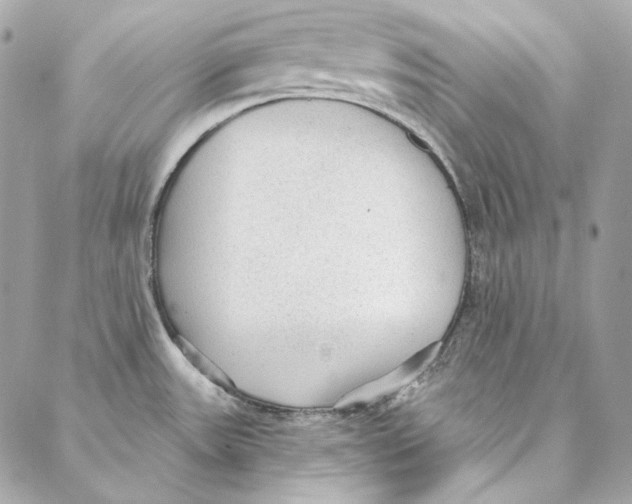 X0000086951531200705071430