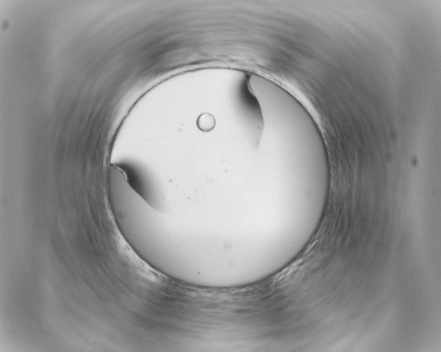 X0000086951532200705071430