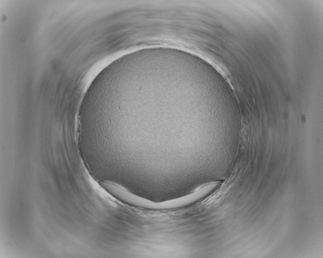 X0000086951535200705071430