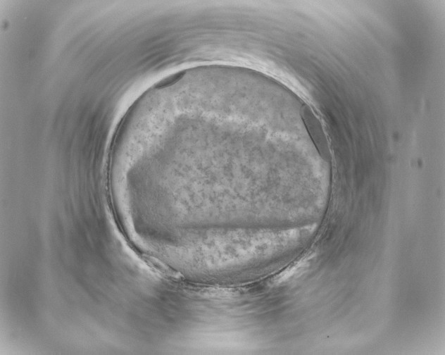 X0000086951536200705071430