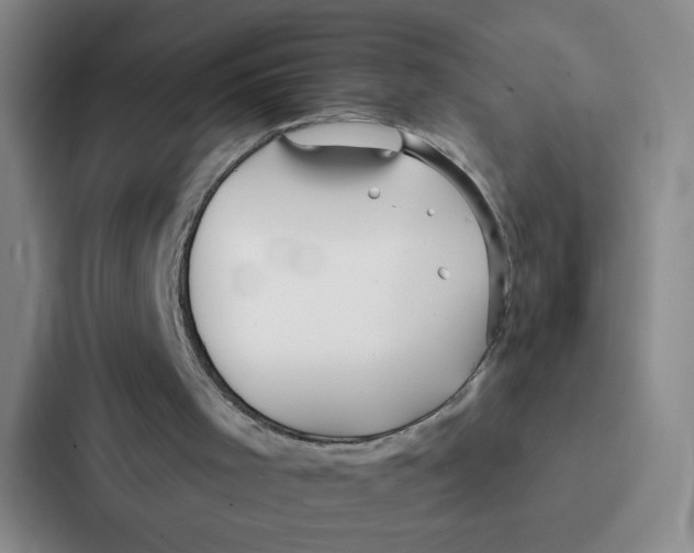 X0000086950001200705141831