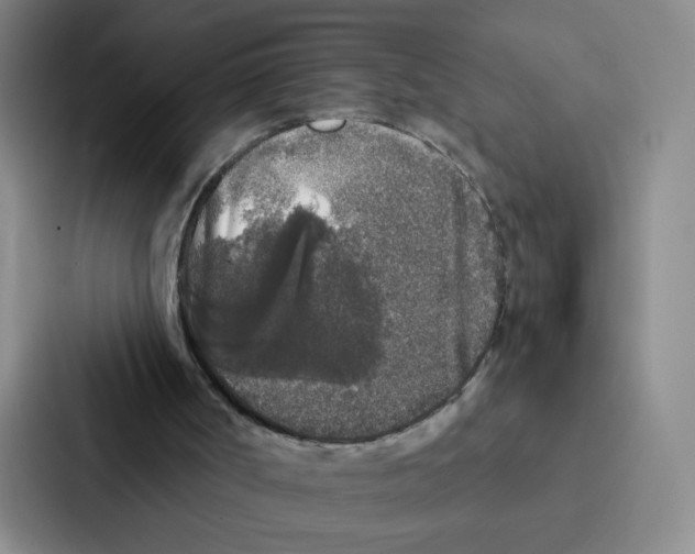 X0000086950002200705141831