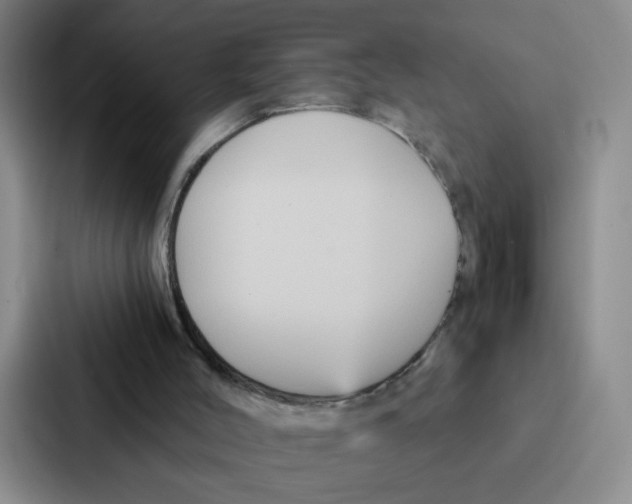 X0000086950004200705141831