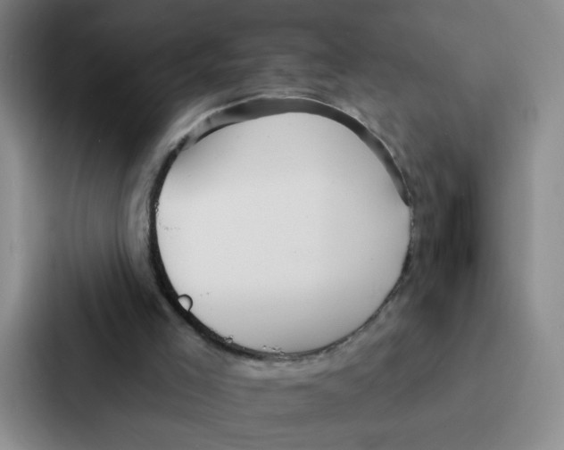 X0000086950005200705141831