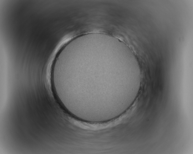 X0000086950006200705141831