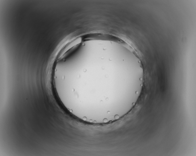 X0000086950007200705141831