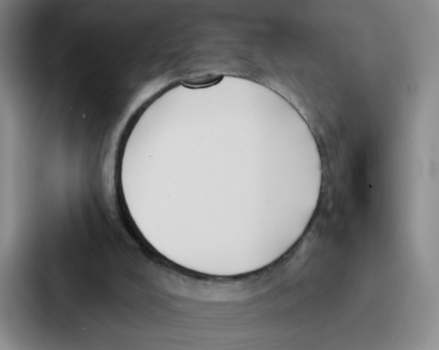 X0000086950008200705141831