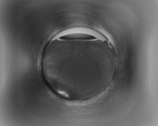 X0000086950009200705141831