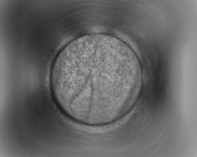 X0000086950010200705141831