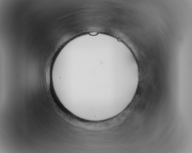 X0000086950011200705141831