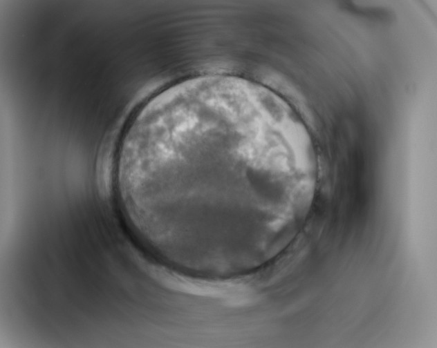 X0000086950012200705141831