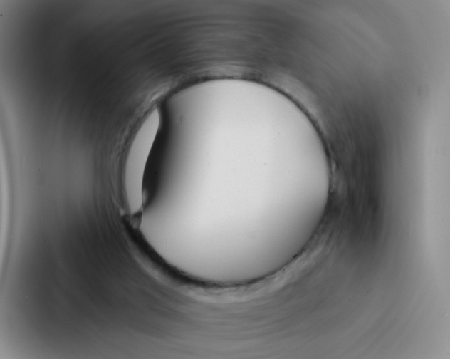 X0000086950013200705141831