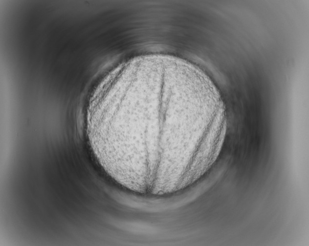 X0000086950014200705141831