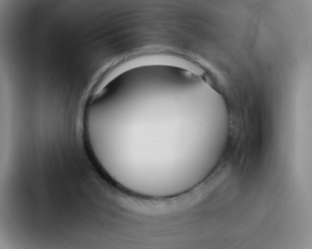 X0000086950015200705141831