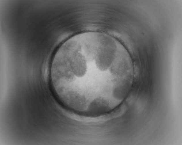 X0000086950016200705141831