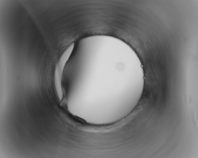 X0000086950017200705141831