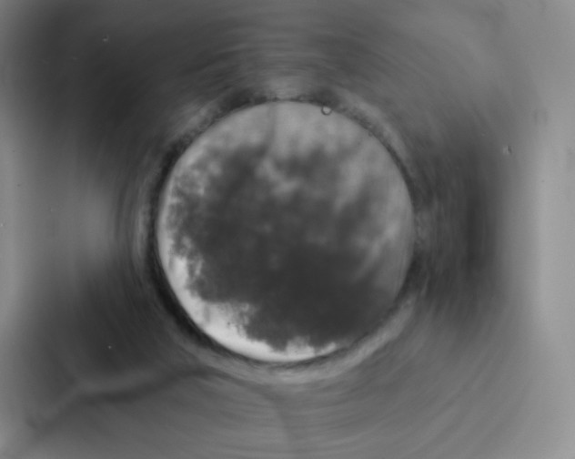 X0000086950018200705141831