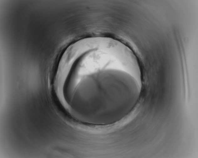 X0000086950019200705141831