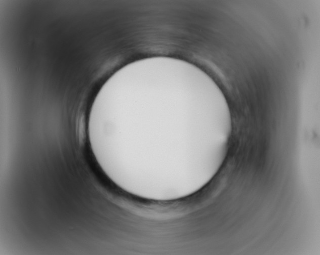 X0000086950020200705141831