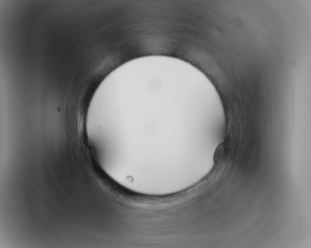 X0000086950021200705141831