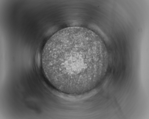 X0000086950022200705141831