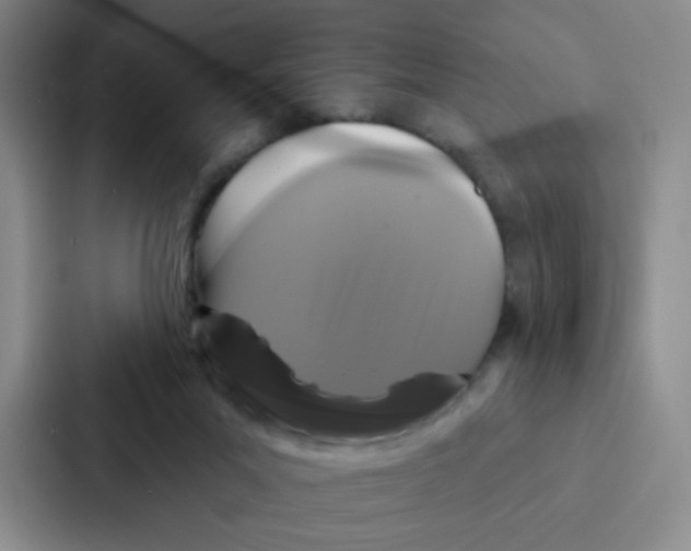 X0000086950023200705141831