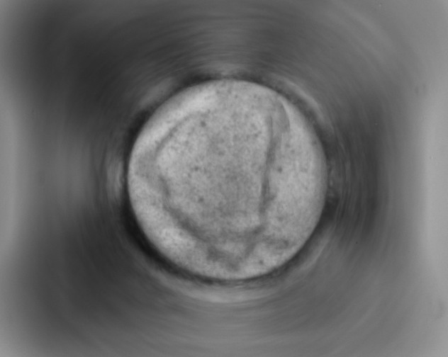 X0000086950024200705141831