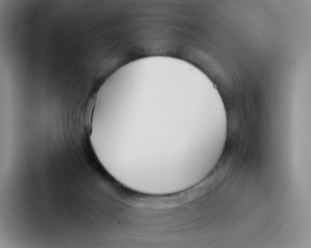 X0000086950025200705141831