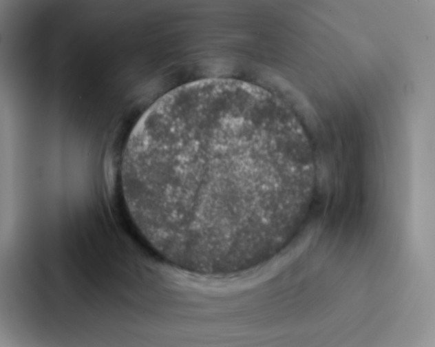 X0000086950026200705141831