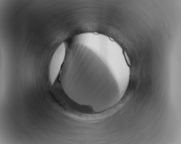 X0000086950027200705141831