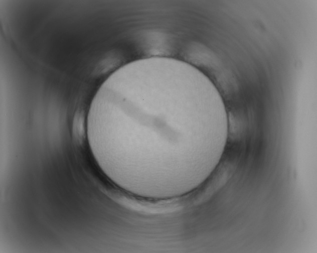 X0000086950028200705141831