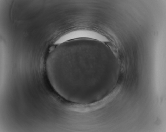 X0000086950029200705141831