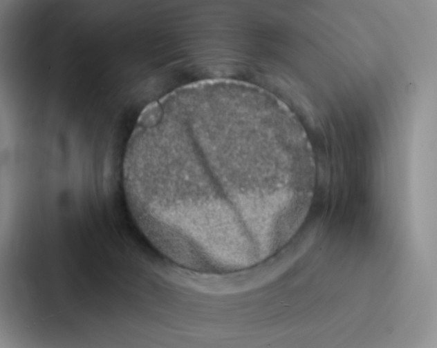 X0000086950030200705141831