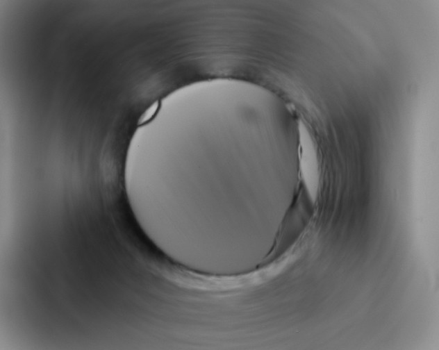 X0000086950031200705141831