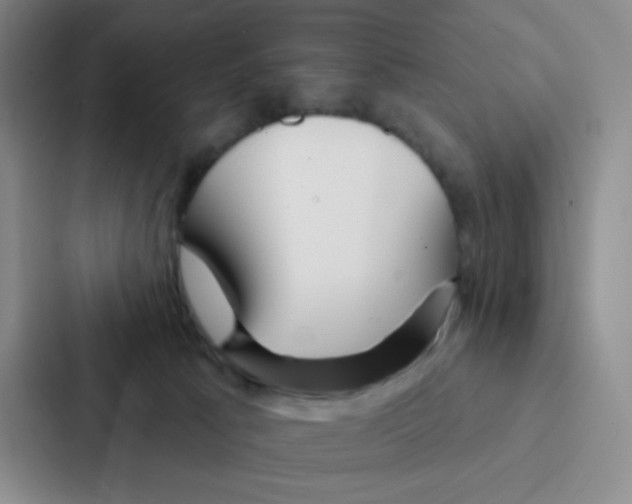 X0000086950033200705141831