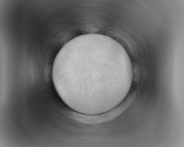 X0000086950034200705141831