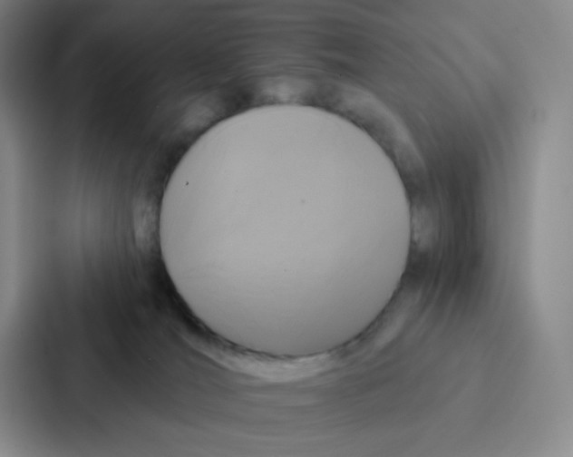 X0000086950036200705141831