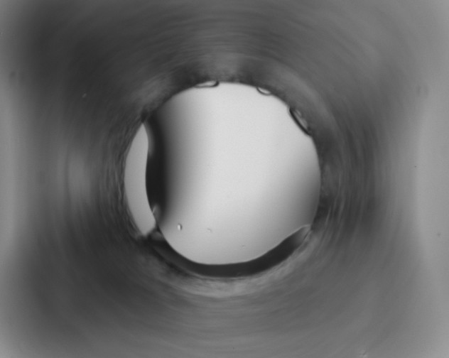 X0000086950037200705141831