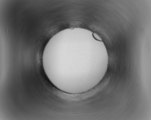 X0000086950038200705141831