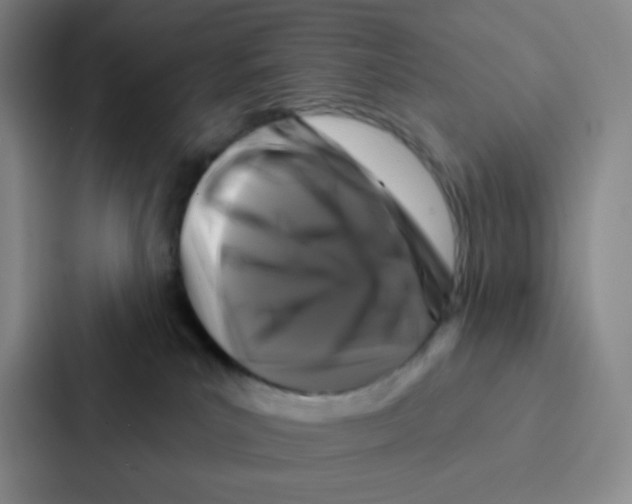 X0000086950039200705141831