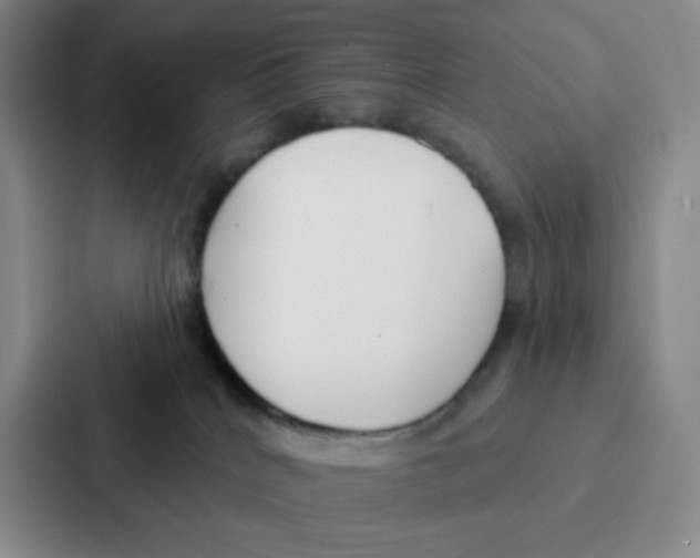 X0000086950040200705141831