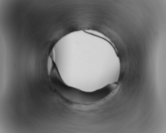 X0000086950041200705141831