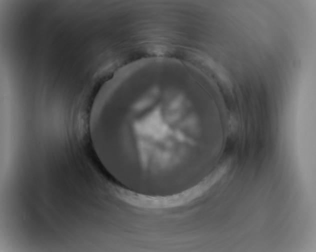 X0000086950043200705141831