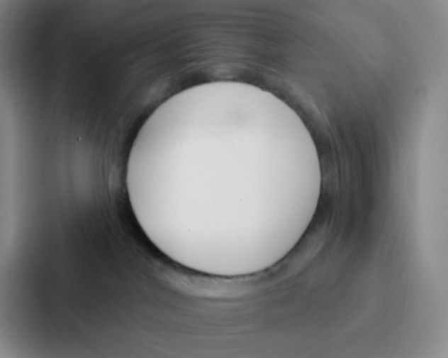 X0000086950044200705141831