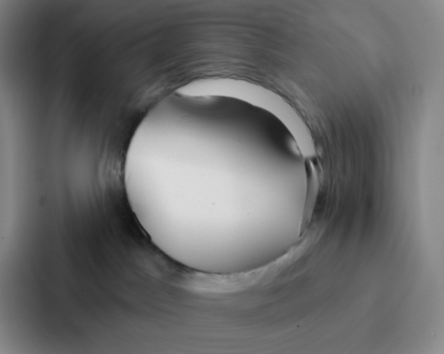 X0000086950045200705141831