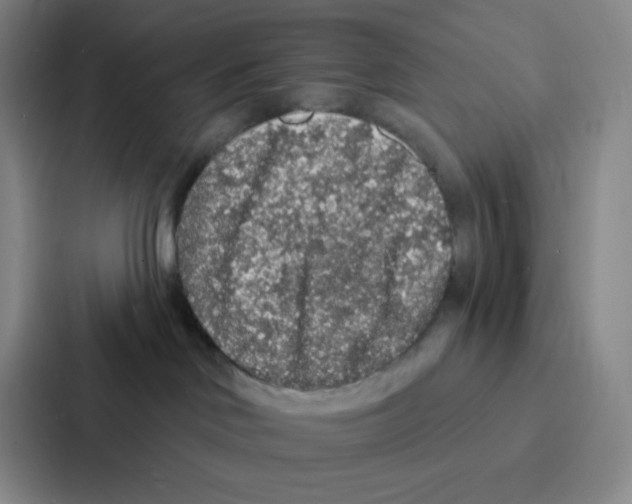 X0000086950046200705141831