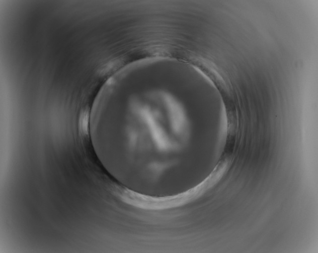 X0000086950047200705141831