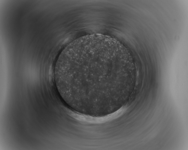 X0000086950048200705141831